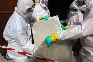 asbestos testing Adelaide