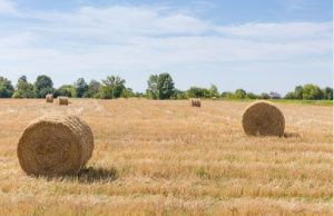 baler twine