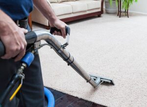 professional carpet cleaning Adelaide