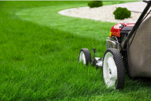 Adelaide lawn mowing
