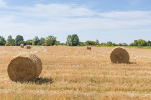 silage wrap price 2023
