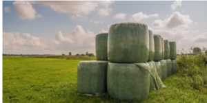 premium silage film