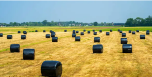 stretch silage wrap