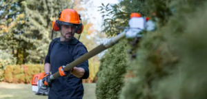 gardening services cost