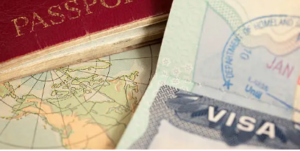 affordable migration agent
